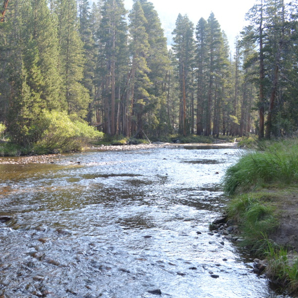 Evolution Creek ford