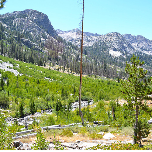 Palisade Creek