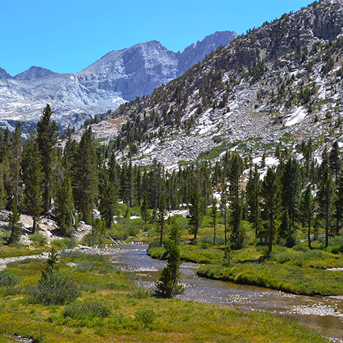 Bubbs Creek Campsite