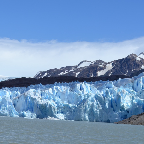 Grey Glacier from boat