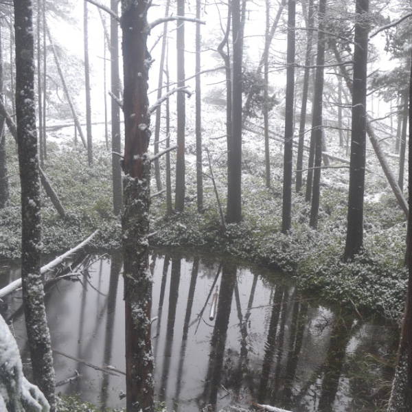 Snowy trail