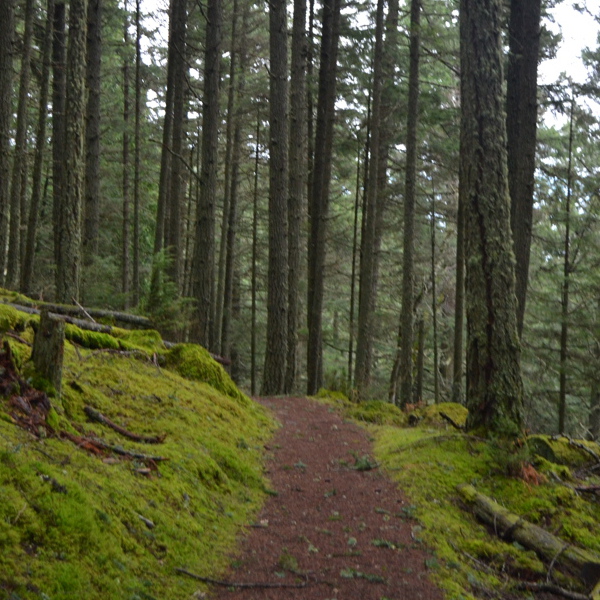 Twin Lakes trail