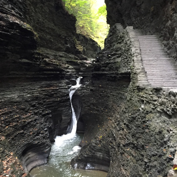 Watkins Glen steps