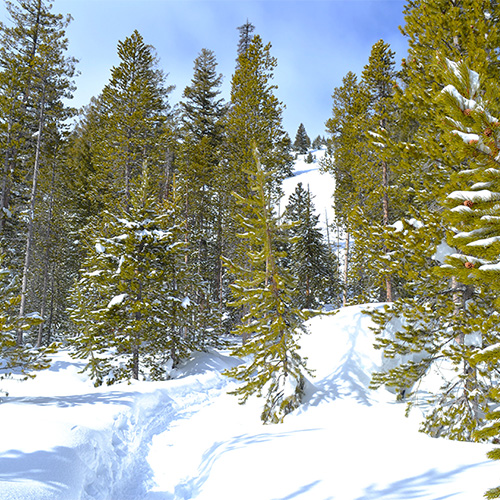 Sled track