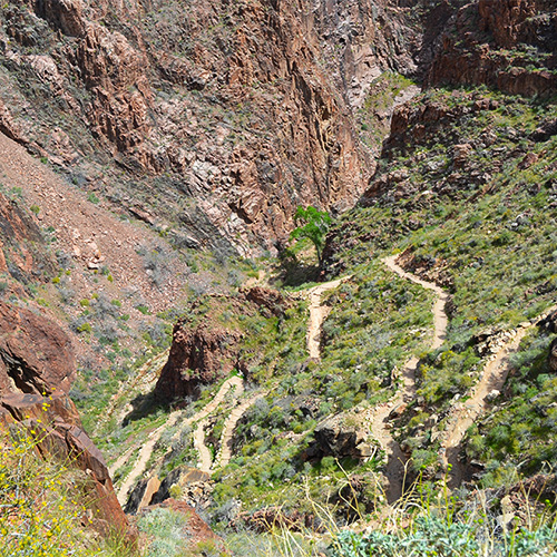 Switchbacks